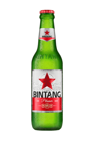 Bintang logo
