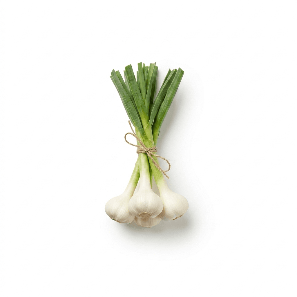 Knoflook jong (groen)