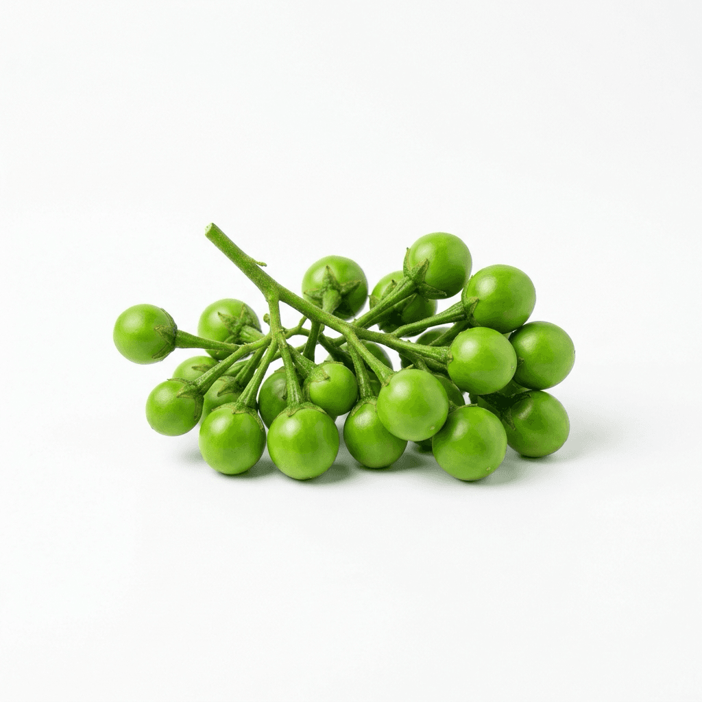 Looncia (klein groen)